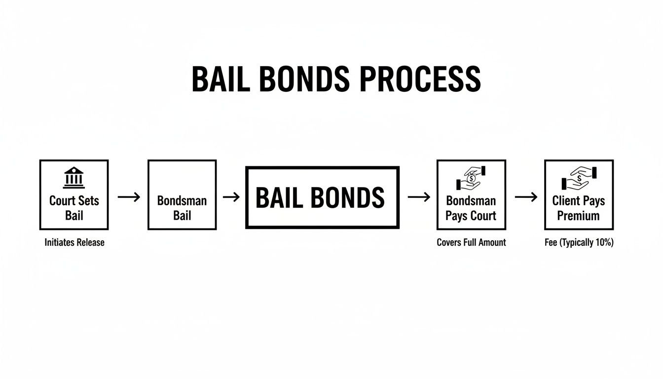 A flowchart illustrates the bail bonds process, from court setting bail to the client paying a premium.