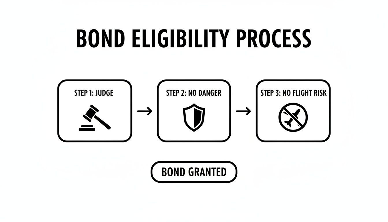 A flowchart outlining the bond eligibility process, detailing steps involving a judge, assessing danger, and flight risk.