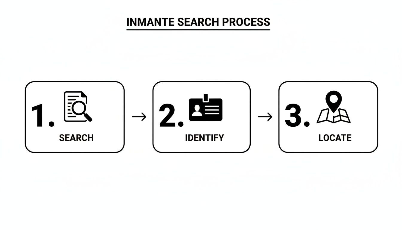 A three-step process diagram showing Search, Identify, and Locate for an inmate search.