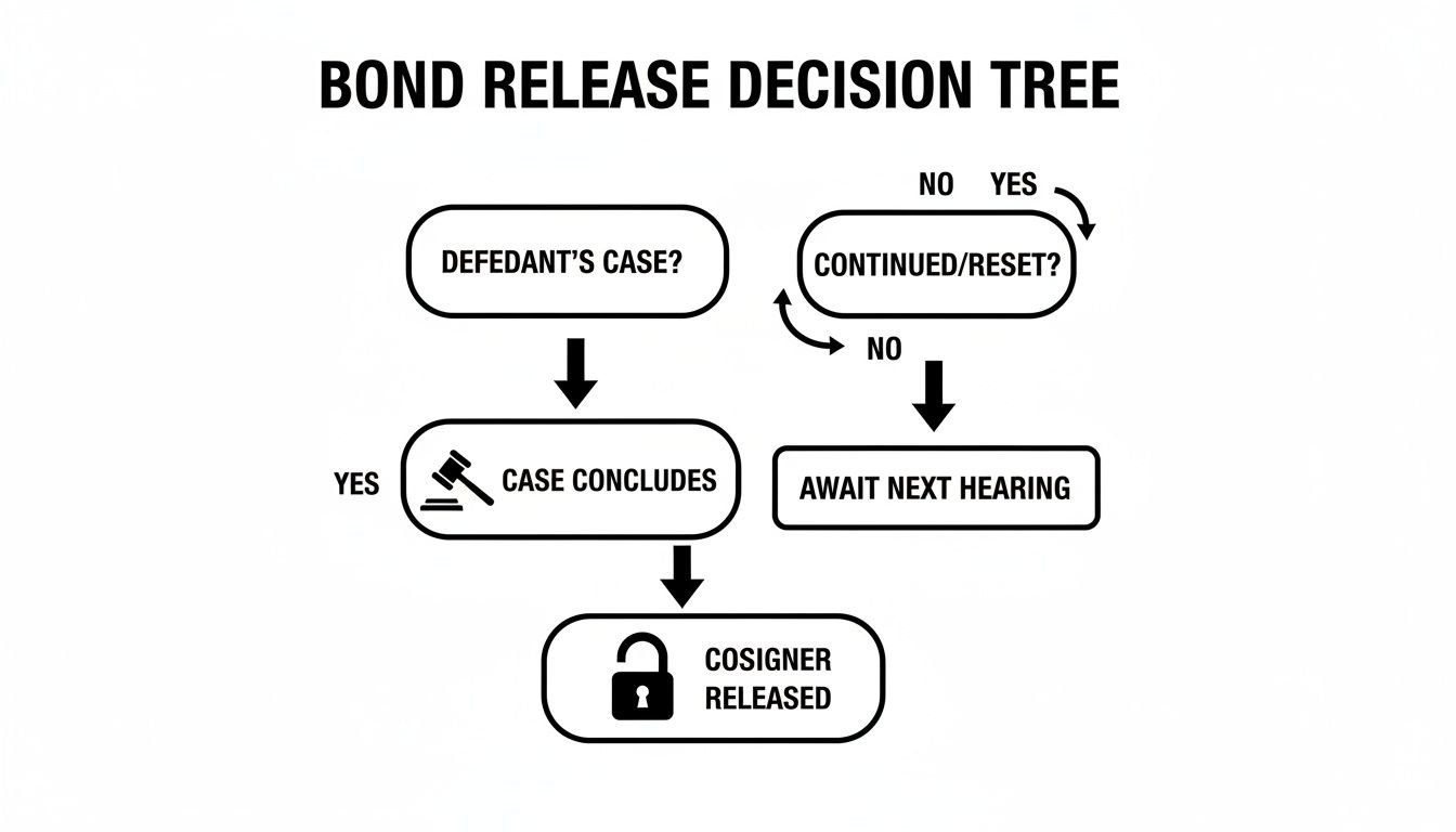 A bond release decision tree flowchart outlining steps from a defendant's case to cosigner release.