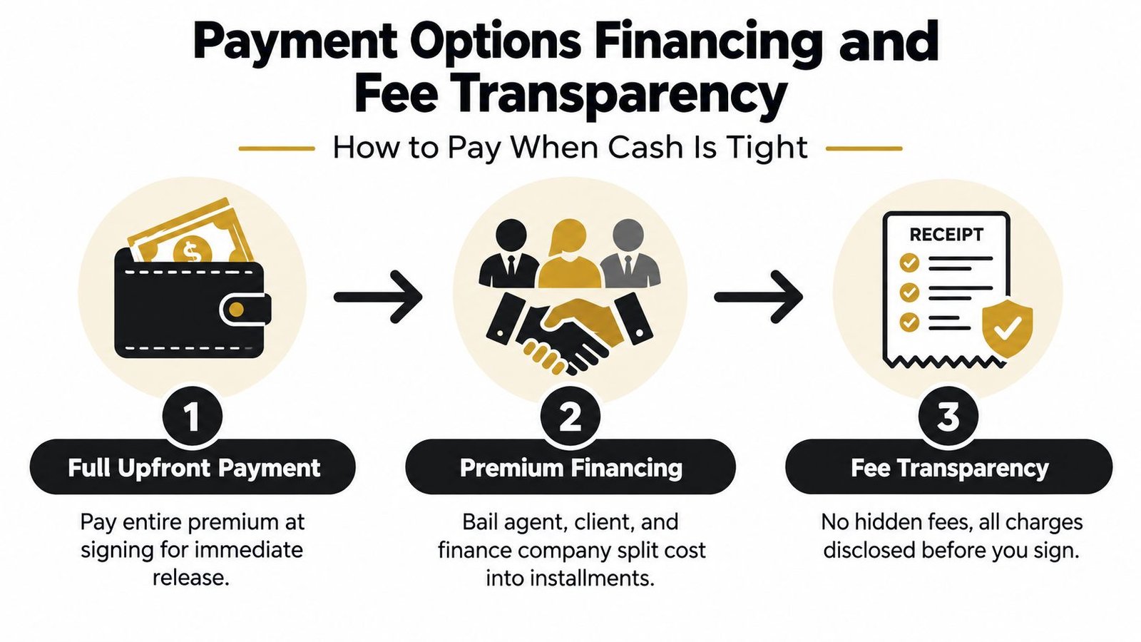 An infographic detailing three payment options for bail bonds including full payment, financing, and fee transparency.